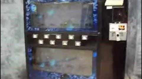 Vending Machine For Sale: Dixie Narco Live Display Cold Drinks Soda $1050