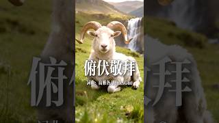 【敬拜讚美詩歌】俯伏敬拜#詩歌 #恩典 #敬拜詩歌 #基督教音樂 #福音詩歌 #基督教歌曲 #讚美
