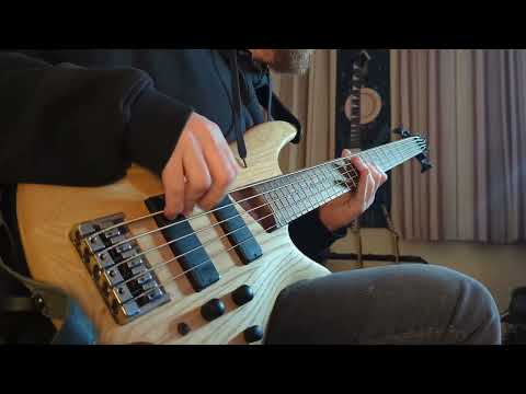 Muse - Animals [Bass cover]