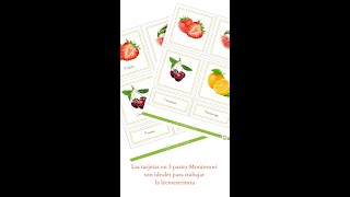 Tarjetas en 3 partes