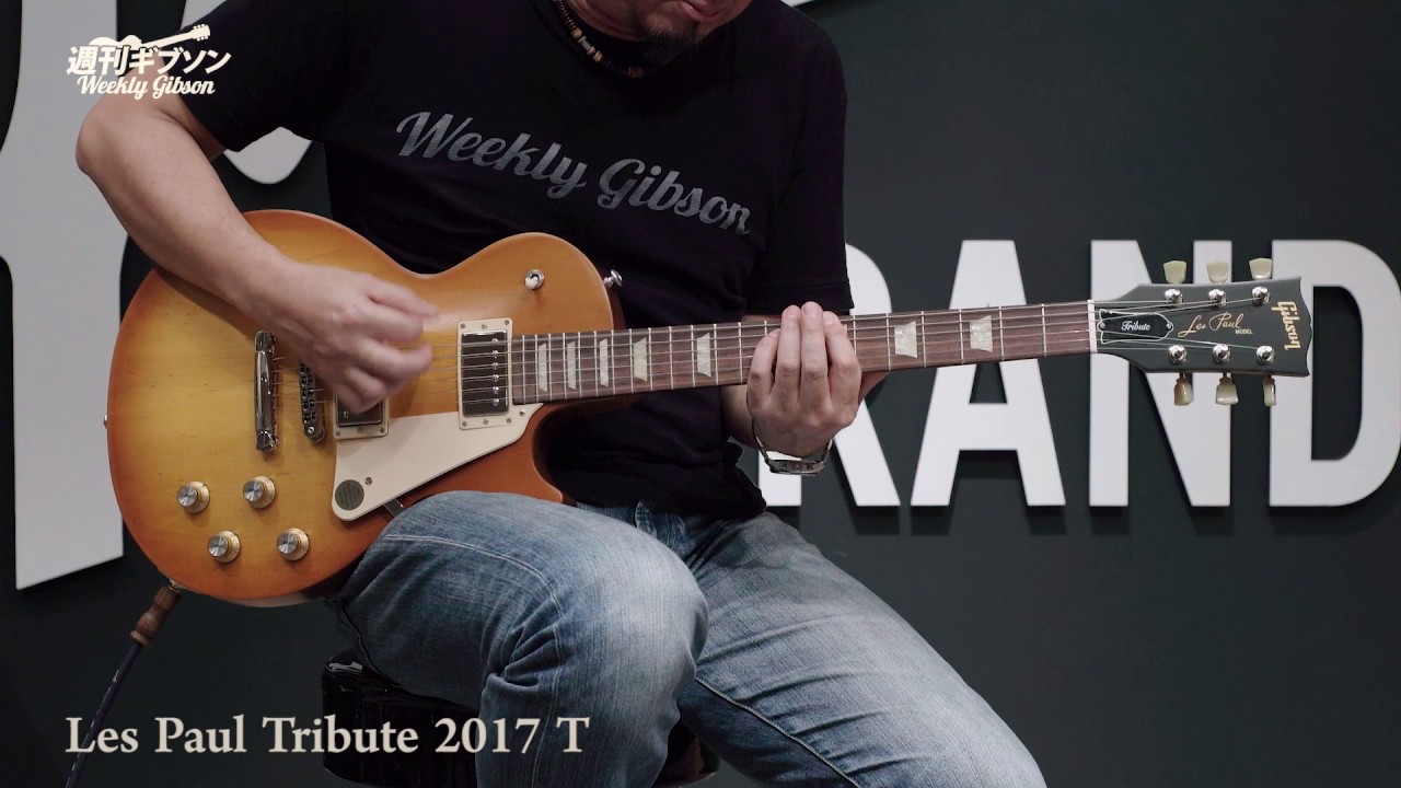 Gibson ギブソン Tribute