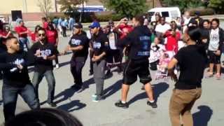 Lambda Sigma Upsilon (Wilmington Aids Walk '13)