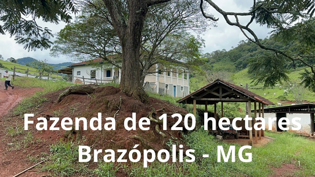 🌱 FAZENDA PRODUTIVA + RENDA ENERGÉTICA + POTENCIAL TURÍSTICO | SUL DE MINAS
