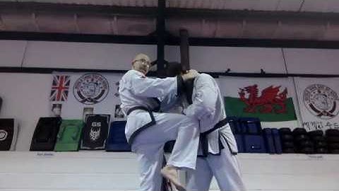 Pyung Ahn Sah Dan Applications