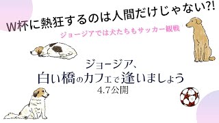 『ジョージア、白い橋のカフェで逢いましょう』特別映像～サッカー観戦する犬と大人篇