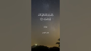 القارئ الشيخ نايف الفيصل من سورة فصلت ( إن الذين قالوا ربنا الله ثم استقاموا ) تلاوة هادئه خاشعة 🕊🌹