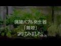 微細バブル！水槽に「舞姫」導入！(*'▽')