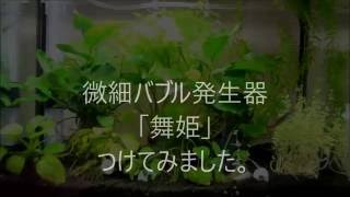 微細バブル！水槽に「舞姫」導入！(*'▽')