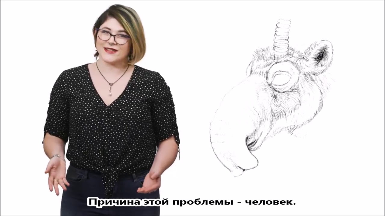 Saigas are Straight Out of Star Wars + Russian subtitles (Animalogic)