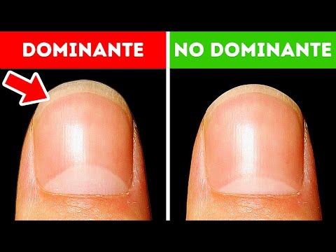 50+ Datos asombrosos