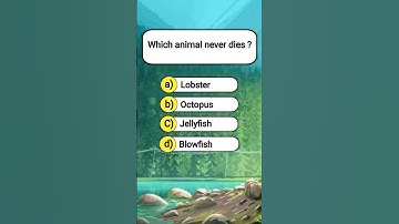 Test your general knowledge #quiz #generalknowledge #gk #gkquiz #trivia #generalknowledgequiz