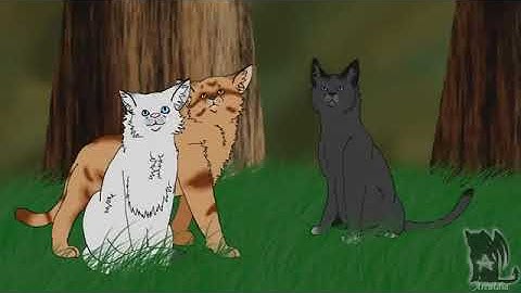 Warriors OC MAP ★ Superhero ★ (Hosted by UglyEMOCHU) (CW)