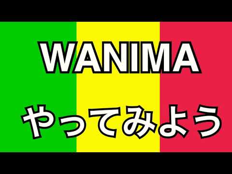【叩いてみた】WANIMA／やってみよう