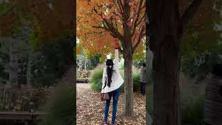 Fallen leafs🍁🍂                                                                #fallleaves#autumn