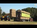 Grassamen Ernte 2019 die Dritte 4x Claas Lexion 770 - Multi Agrar Claußnitz GmbH, JCB, Big Farming