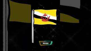 BRUNEI - National flag.