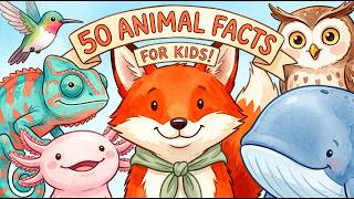 50 Amazing Animal Facts for Kids (Ages 4-8) screenshot 5