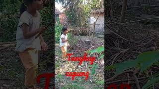 tangkap capung#shorts