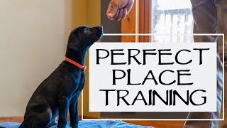 Free Shaping Place Training  Teach Your Dog To Get On Their Bed