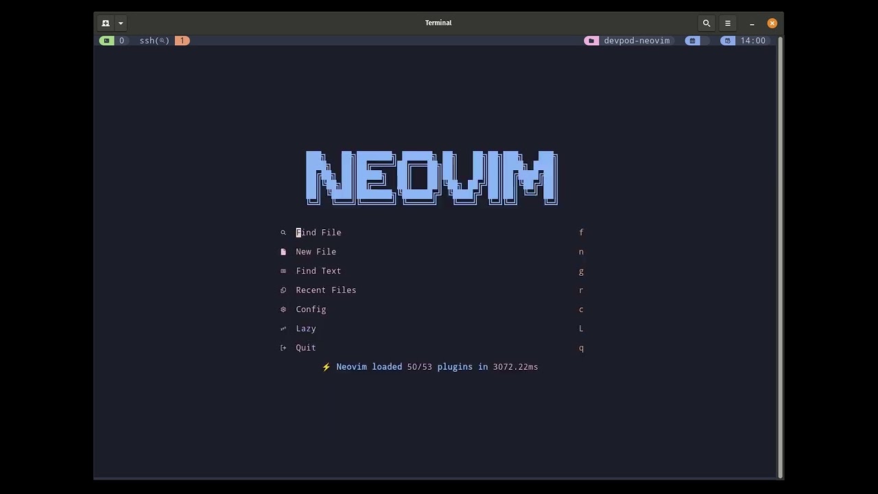 devpod neovim build using the snacks plugin