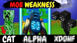 All Minecraft Mobs Weakness in Hindi (EXPANSIVE)