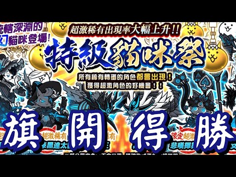特級貓咪祭 金卷爆抽一波 首抽直接中超激！？會是藍眼嗎？ ［貓咪大戰爭］