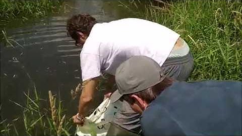 Wet Sieving technique