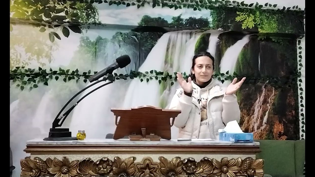 Curto libre del año nuevo del 2026