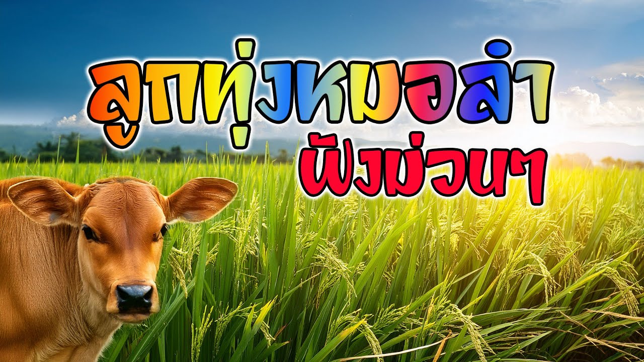 ลูกทุ่งหมอลำ ฟังม่วนๆ