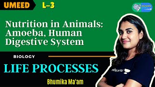 Class 10: Nutrition in Animals | Life Processes | L-2 | Visualizing Science | Bhumika Ma'am