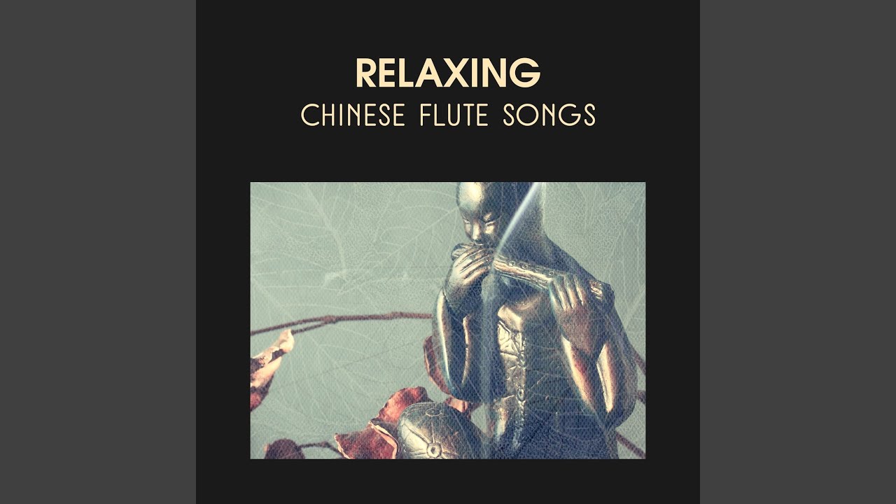 Mind and Body Harmony