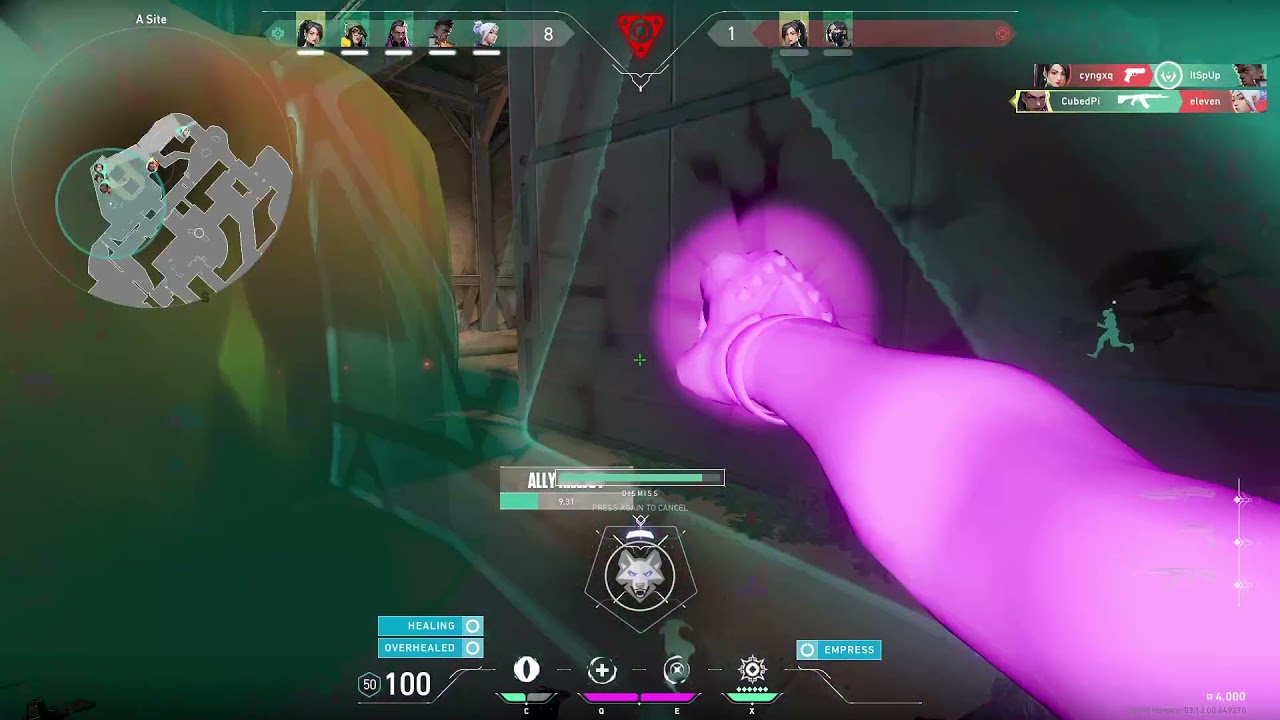 Killed Viper with my knife