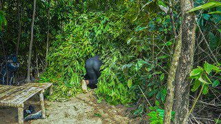 Girl Living Off Grid Build The Most Secret Underground Shelter in the Wild