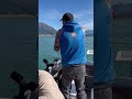 Gotta Catch The Bait First