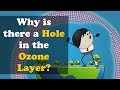 Why is there a Hole in the Ozone Layer? | #aumsum #kids #science #education #children
