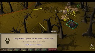 Grinding last 50% of 99 Hunter in 4 uncut hours OSRS