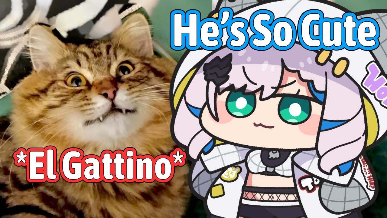 Reine Meet El Gattino For The First Time【Hololive EN】