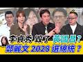 李貞秀與民眾黨的衝突