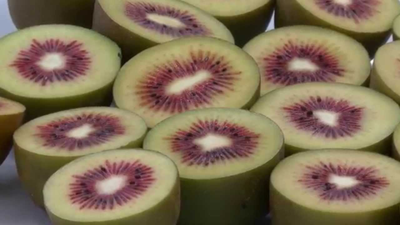 Horticulture - Northland, New Zealand