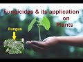 Fungicides  its application on plants