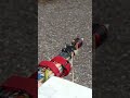 Homemade RC plane #shorts