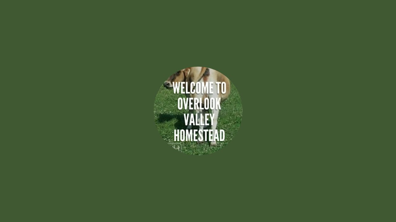 Overlook Valley Homestead is live!