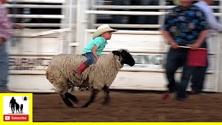 Mutton Bustin' 🦙 2021 Saint's Roost Ranch Rodeo | Saturday screenshot 4