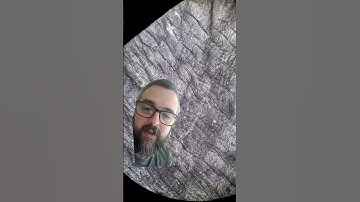 Ancient microbial mat? #fossils #paleontology #science #geology #precambrian