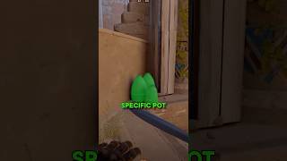 CS2 Trick That Sounds Like a Molotov (Pros Dont Actually Use This)