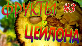 Обзор фруктов на Шри-Ланке #3/Экзотические фрукты/ шри ланка 2020
