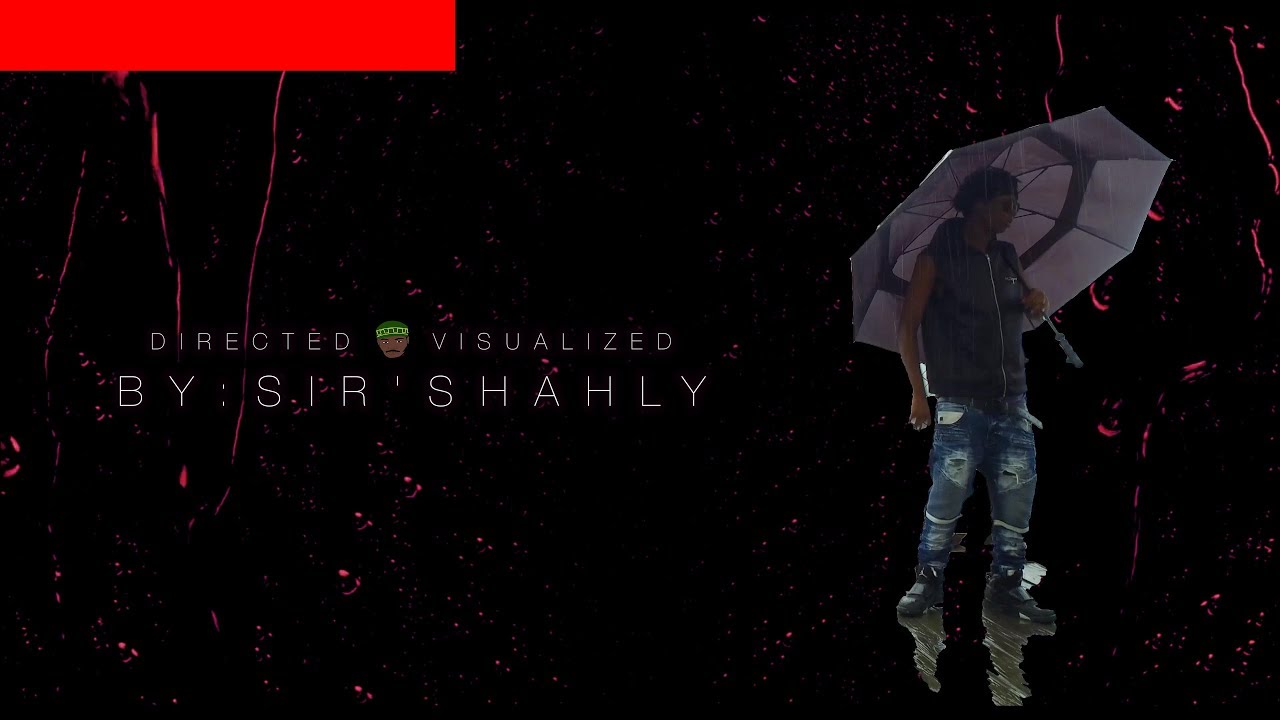 BWG FLOCK - WDYK | OFFICIAL VIDEO BY: @SIRSHAHLY 