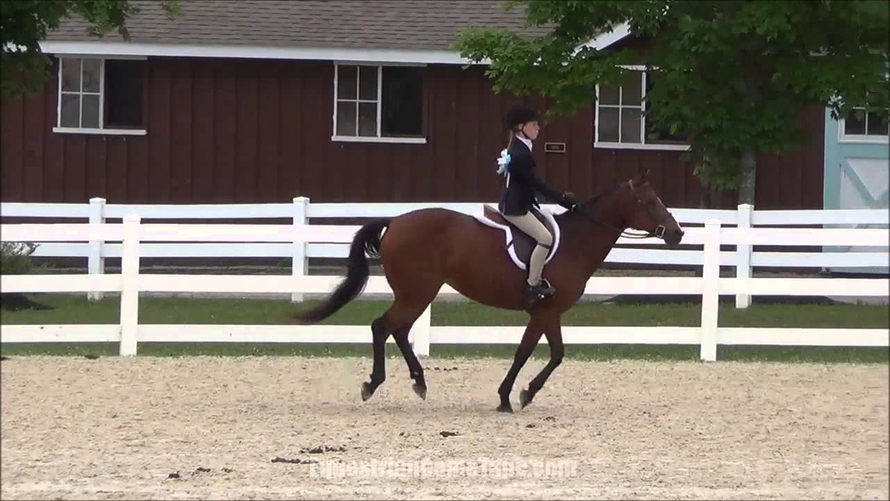 Scarlet Pimpernel at Brandywine Valley Summer Series Brass Ring Horse