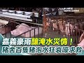 嘉義及南部豪雨