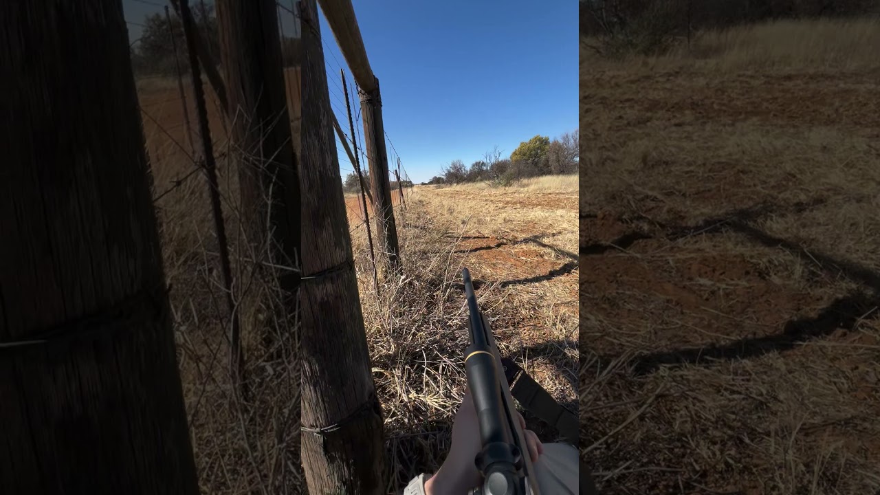 HUNTING IN SOUTH AFRICA 